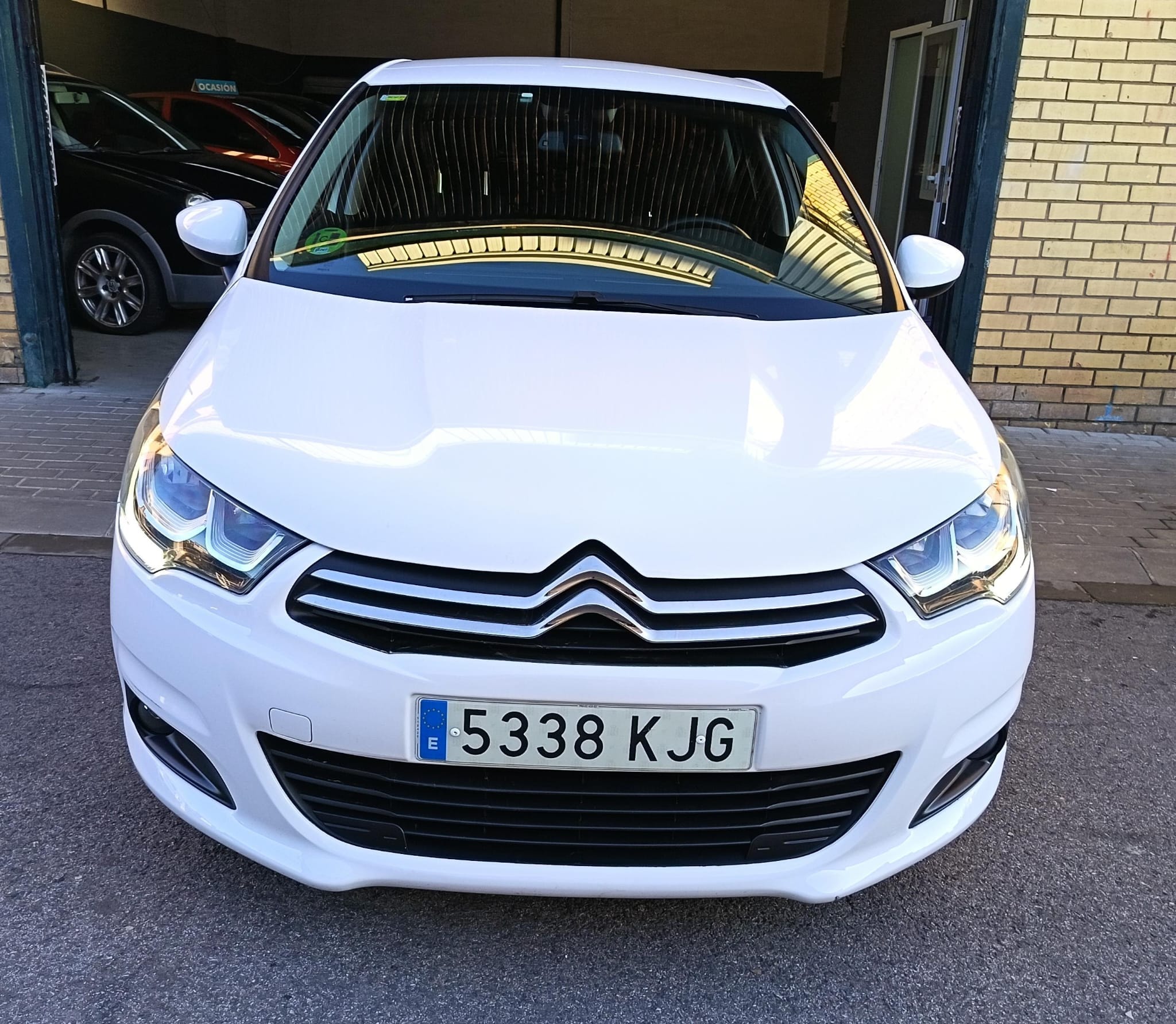 WhatsApp Image 2026-01-14 at 17.52.18 (1)