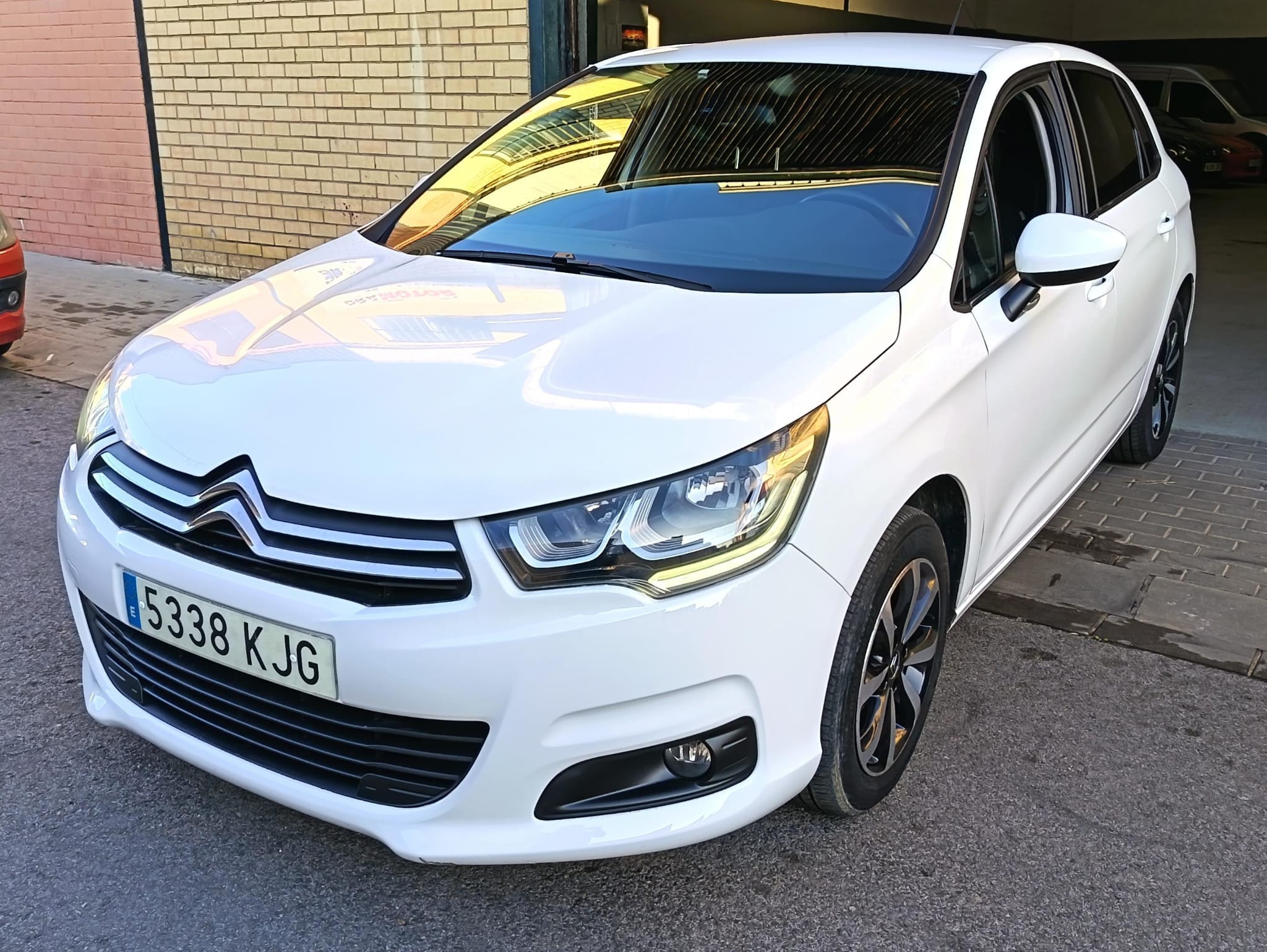 WhatsApp Image 2026-01-14 at 17.52.18 (2)