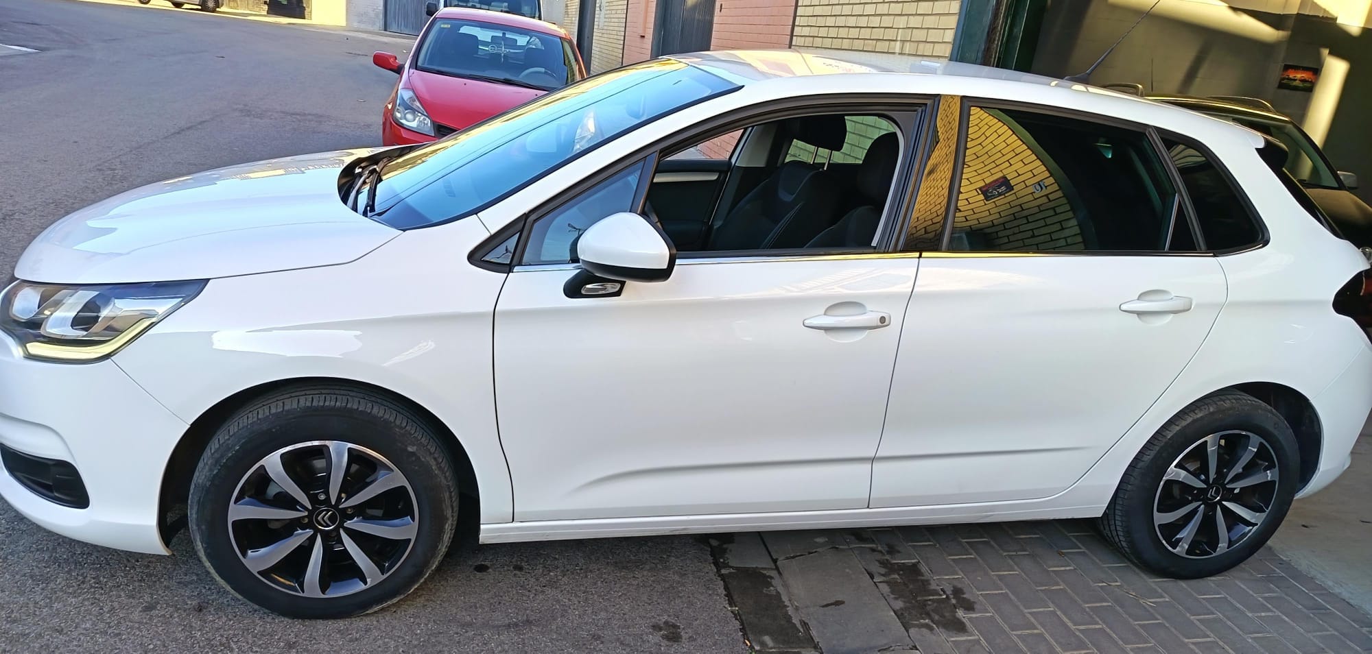 WhatsApp Image 2026-01-14 at 17.52.18 (3)