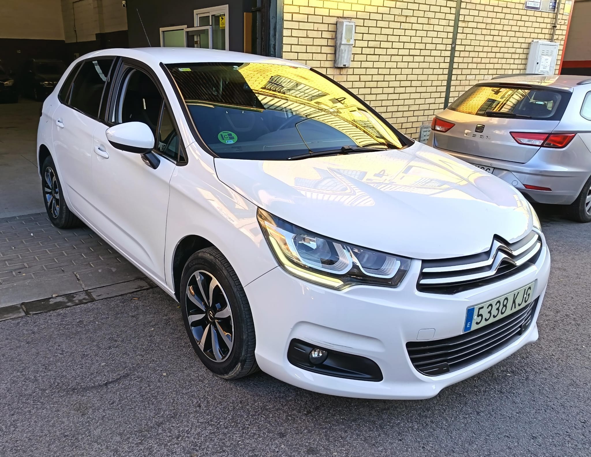 WhatsApp Image 2026-01-14 at 17.52.18