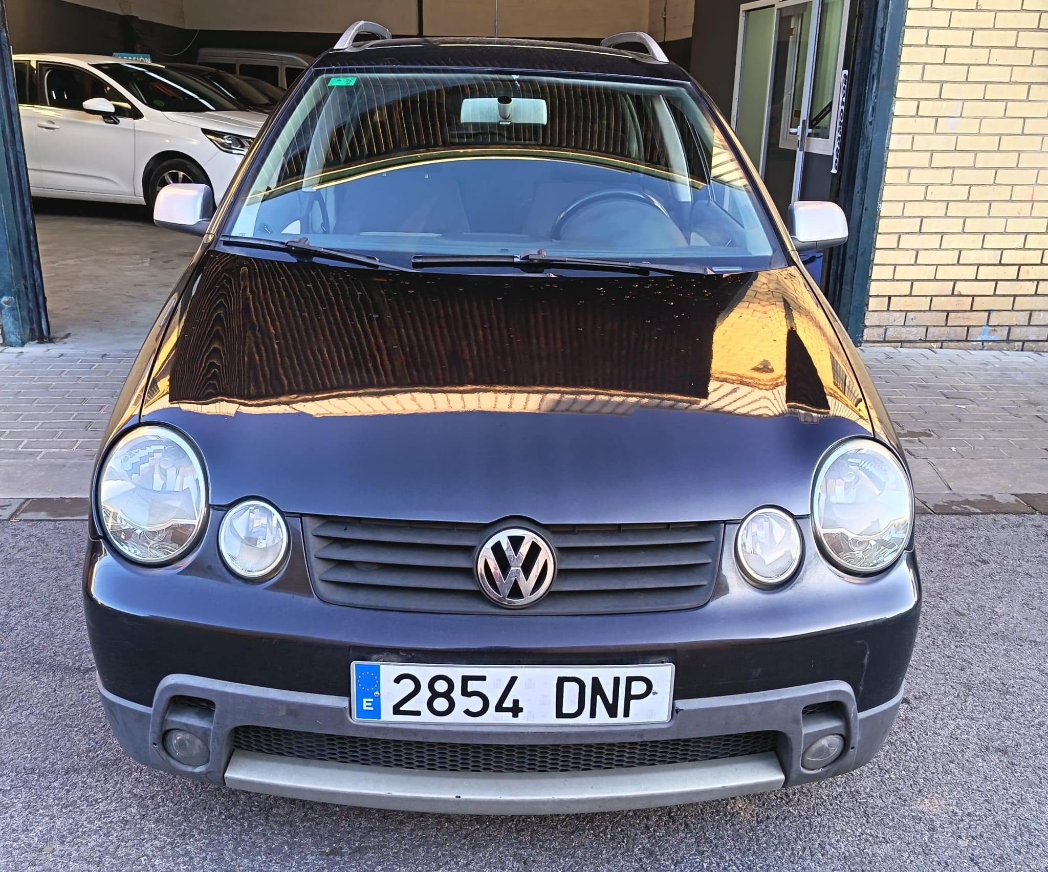 WhatsApp Image 2026-01-14 at 17.53.13 (1)