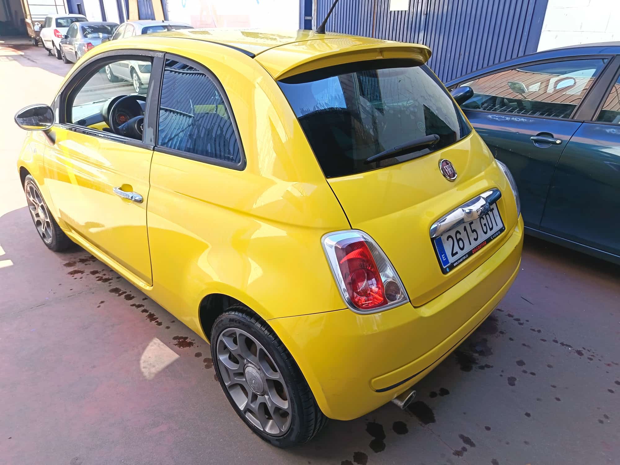 WhatsApp Image 2026-03-26 at 15.55.55